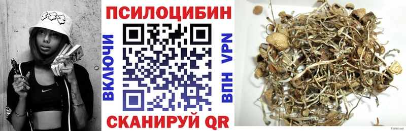 Галлюциногенные грибы Psilocybe  Купить  Сланцы 